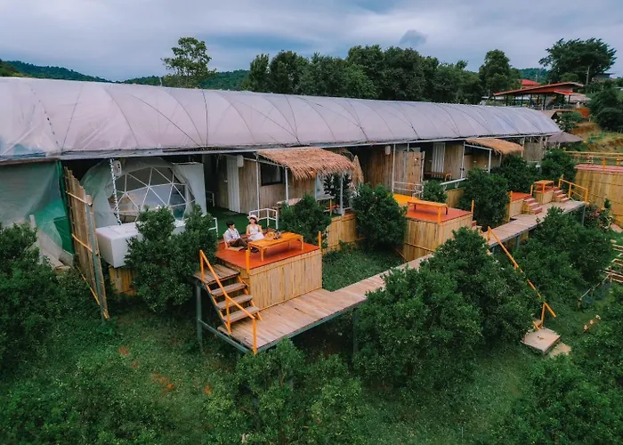 Paopao Orange Farm And Home Stay